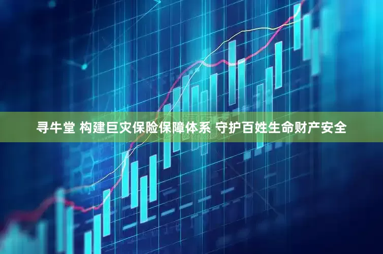 寻牛堂 构建巨灾保险保障体系 守护百姓生命财产安全