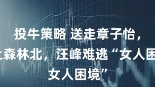 投牛策略 送走章子怡，遇上森林北，汪峰难逃“女人困境”