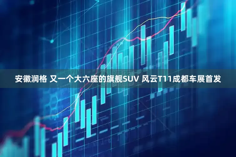 安徽润格 又一个大六座的旗舰SUV 风云T11成都车展首发
