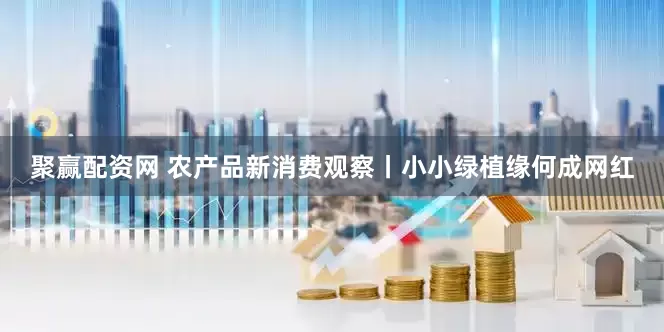 聚赢配资网 农产品新消费观察丨小小绿植缘何成网红